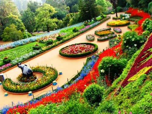 Tamil Nadu Hill Station Tour Packages - Bangalore to Ooty Tour