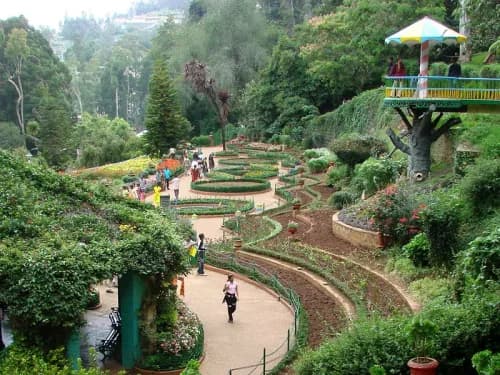 Coimbatore - Honeymoon to Majestic Hills
