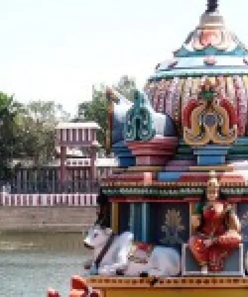 Chengalpattu - Thondai Nattu Divya Desam Tour