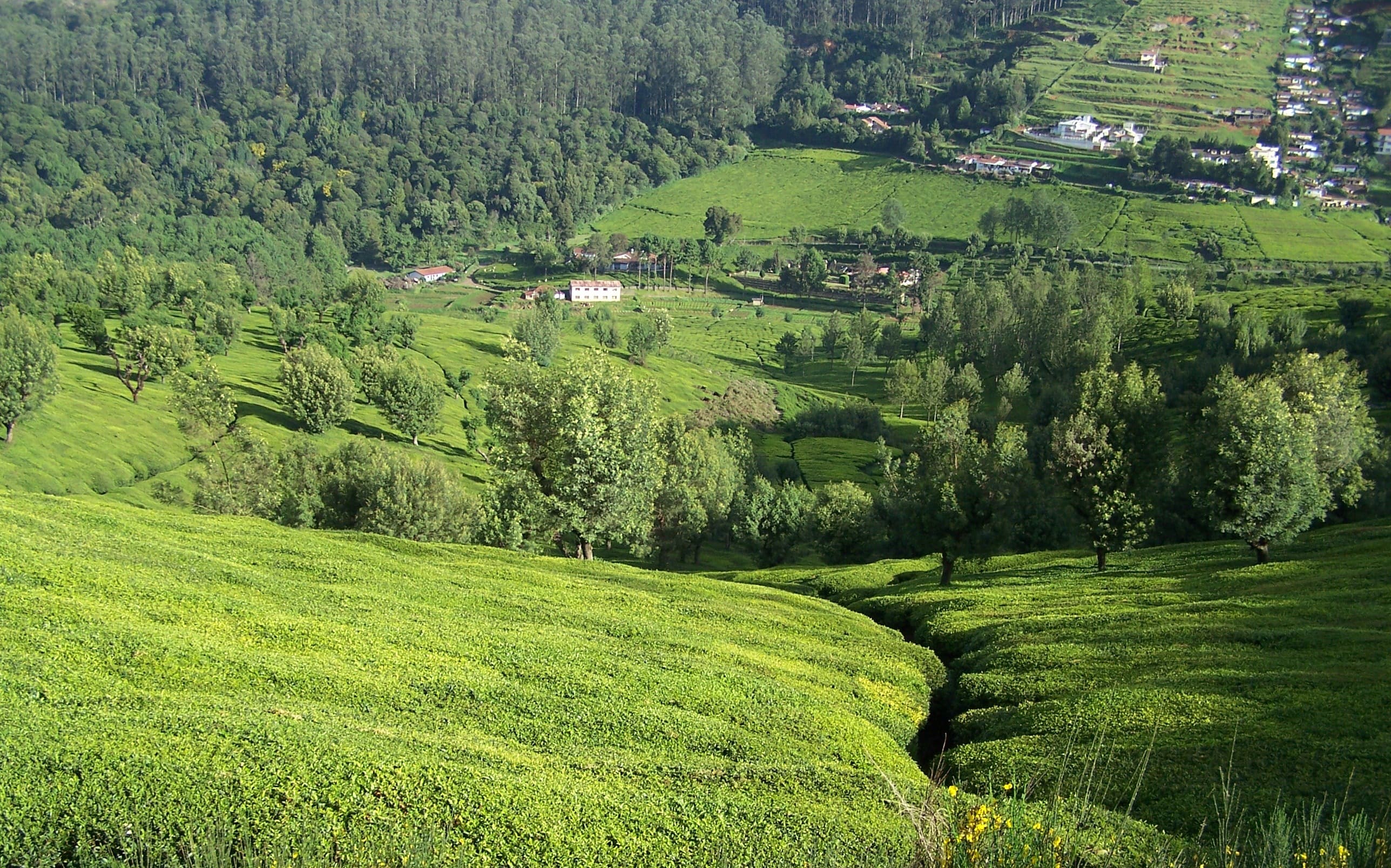 Coimbatore - Tamilnadu Hill Station Tour
