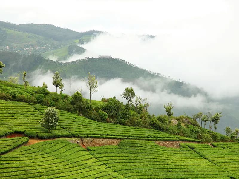 Ooty – Coonoor
