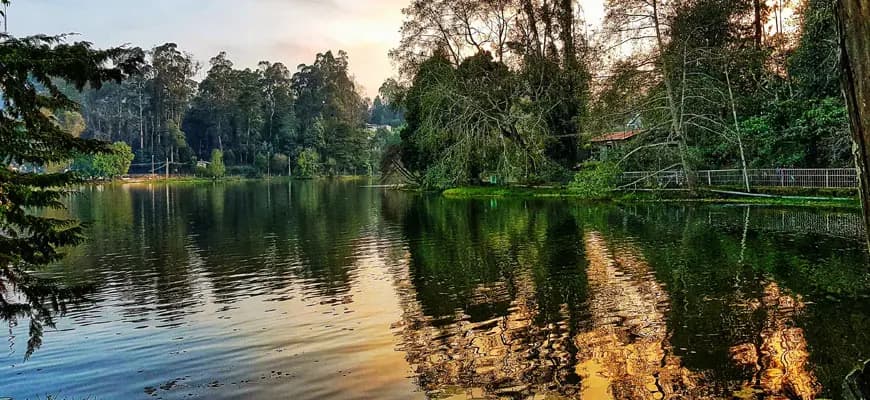 Honeymoon Tour Packages - Short Trip to Honeymoon in Kodaikanal