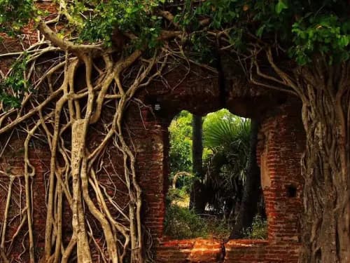 Tamil Nadu Culture Tours - Tamilnadu Holidays Tour