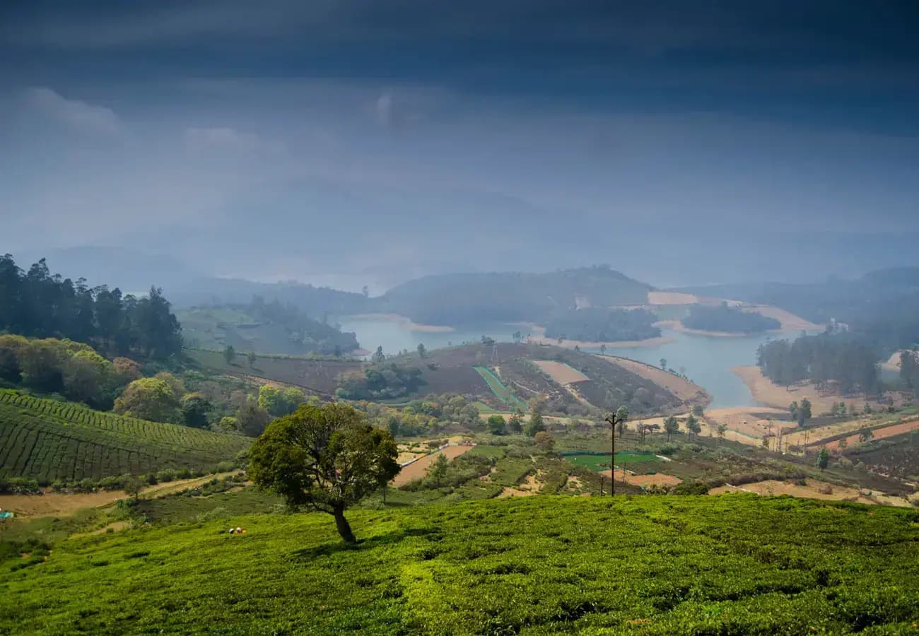 Coimbatore - Hill Station Honeymoon Tour