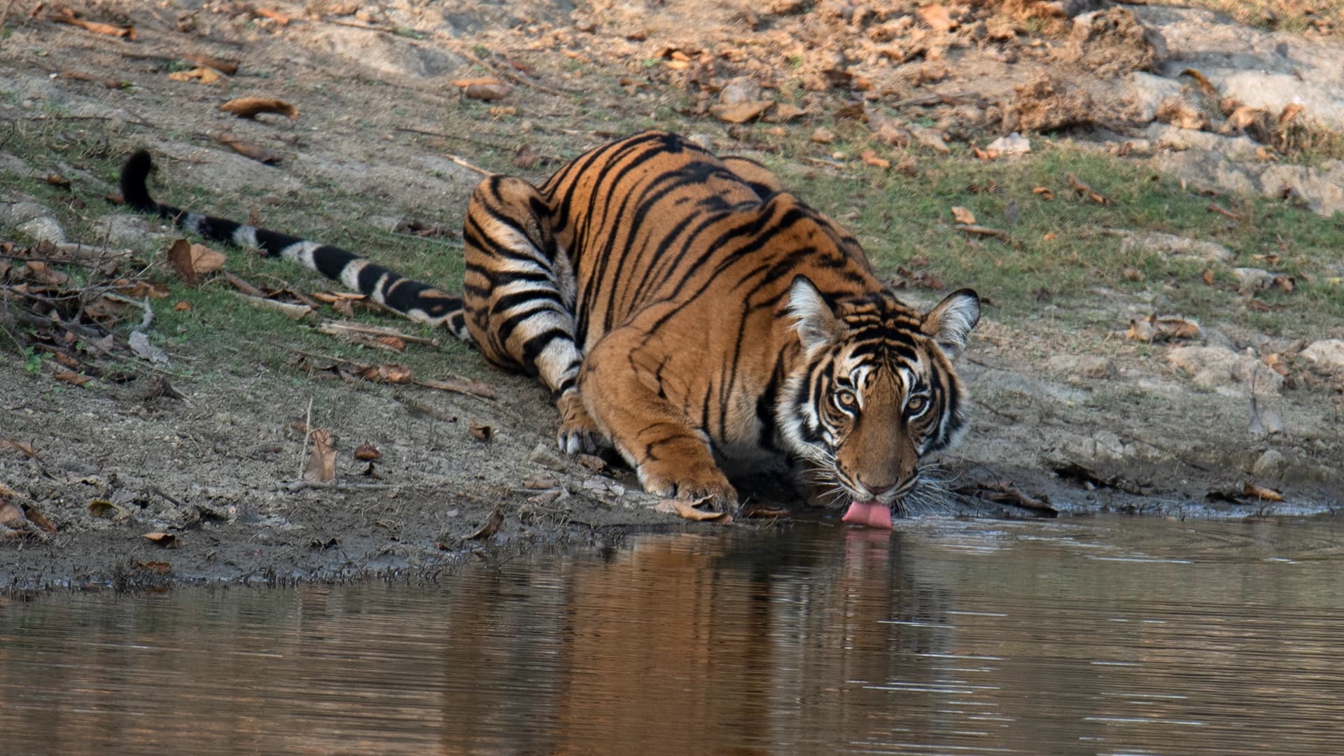 Coimbatore - Tamilnadu Wildlife Sanctuaries