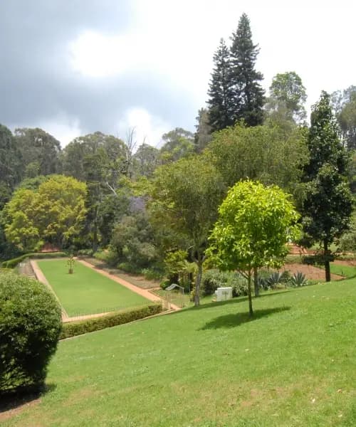 Ooty – Coonoor