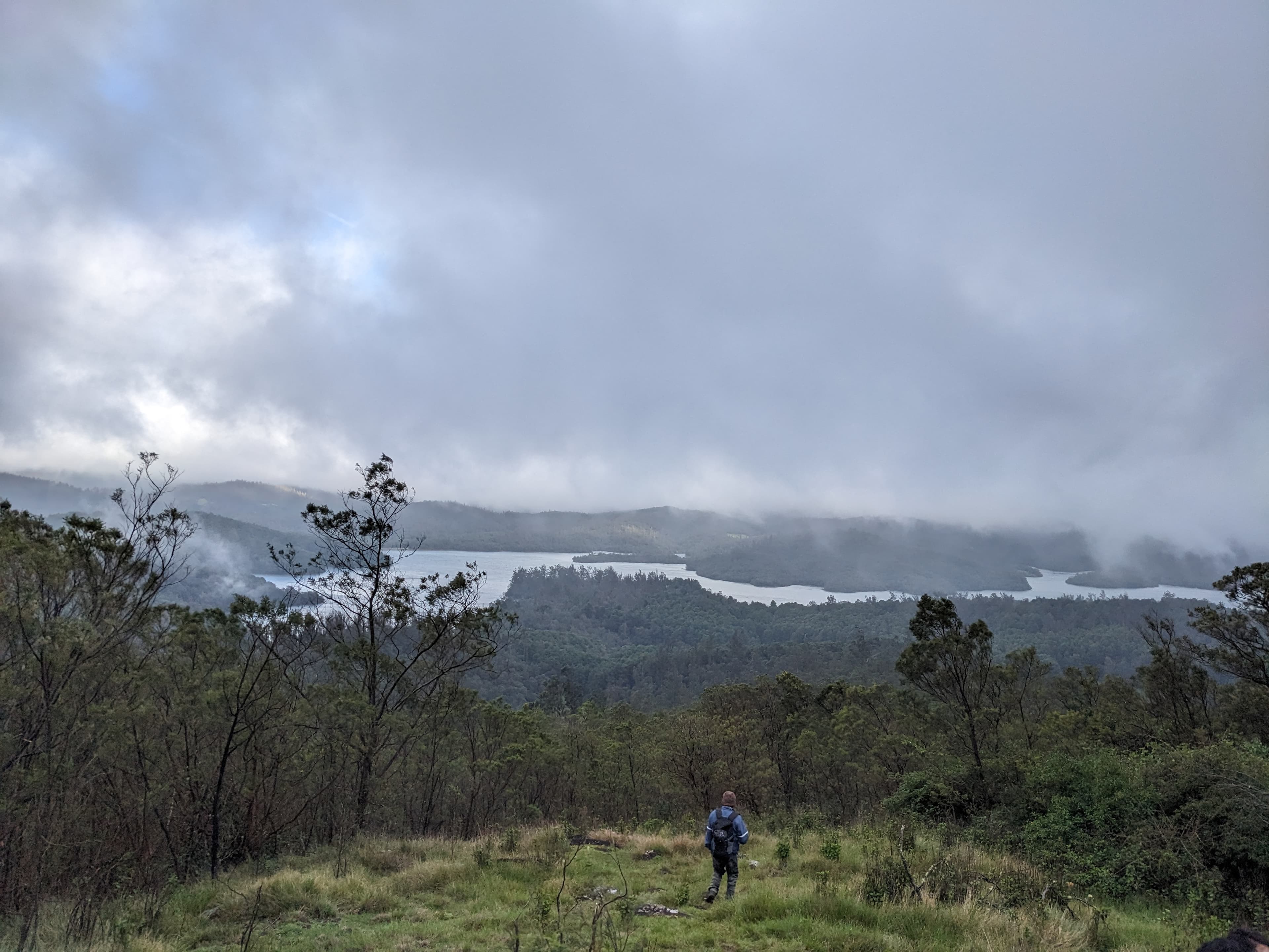 Pandiyar Rest House to Mukurthi Dam Trek – Nilgiris - Pandiyar Rest House to Mukurthi Dam Trek – Nilgiris