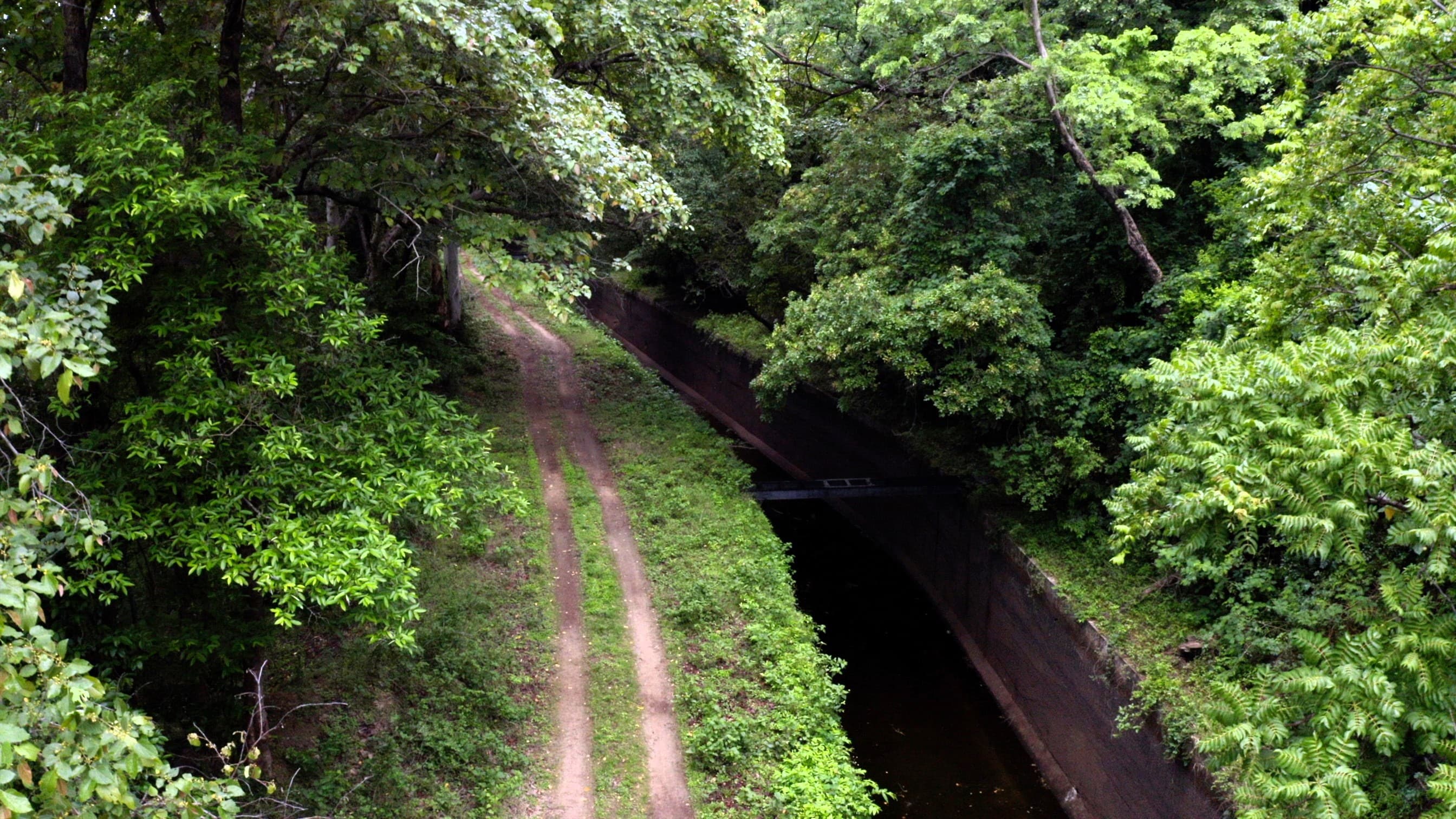 Aliyar (Canal Bank) Trek – Coimbatore - Aliyar (Canal Bank) Trek – Coimbatore