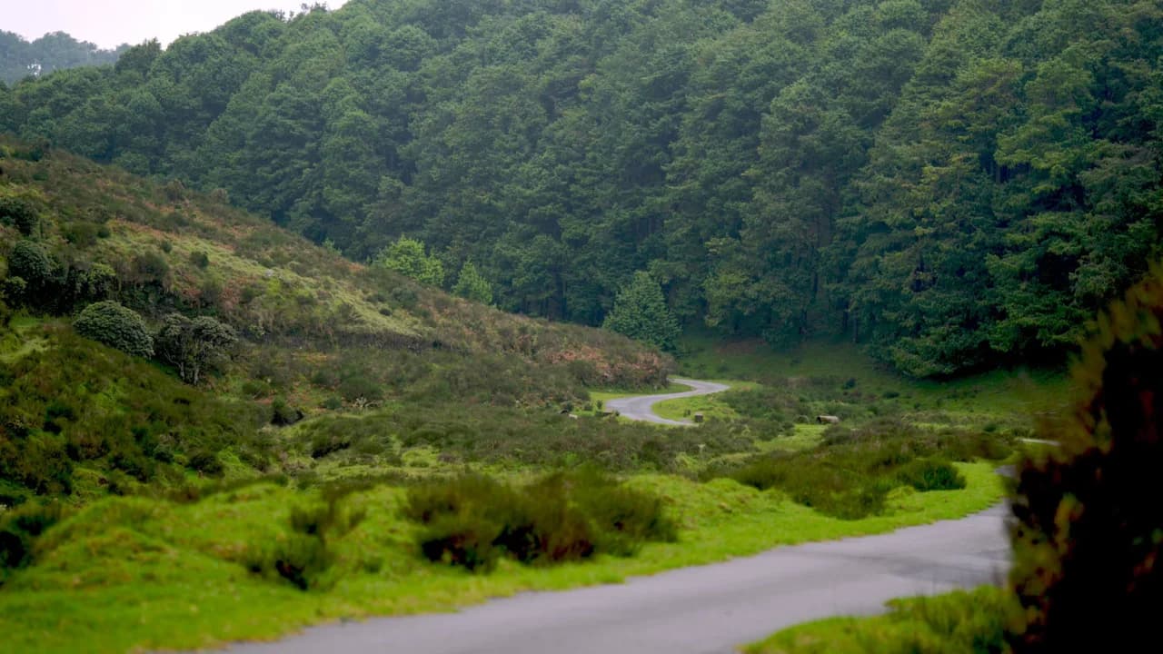 Hard
