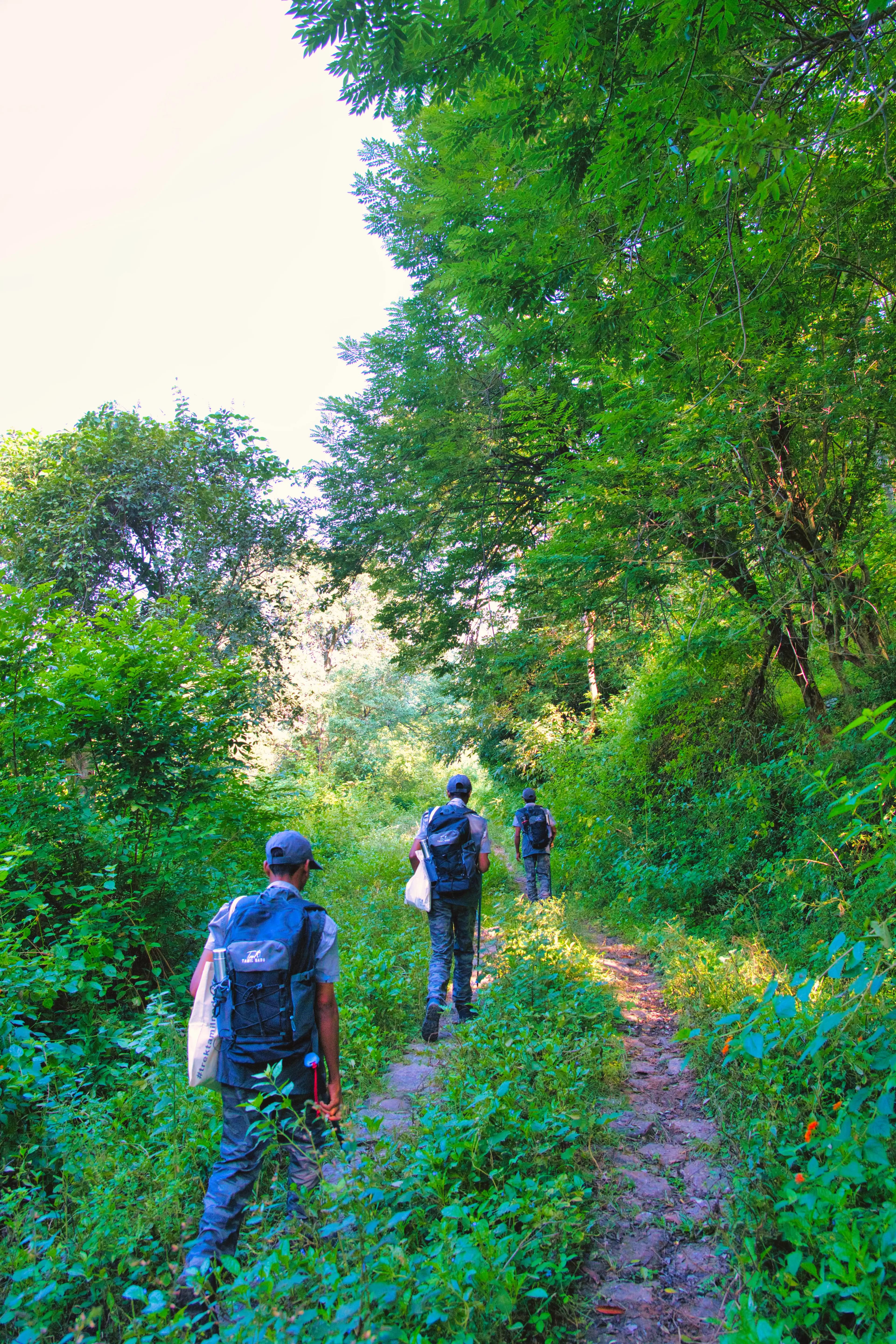 Kurangani to Sambalaru Trek - Kurangani to Sambalaru Trek