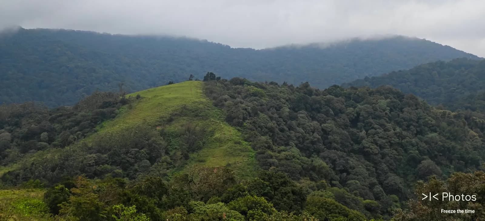 Hard - Avalanche Cauliflower Shola – Kolaribetta Trek