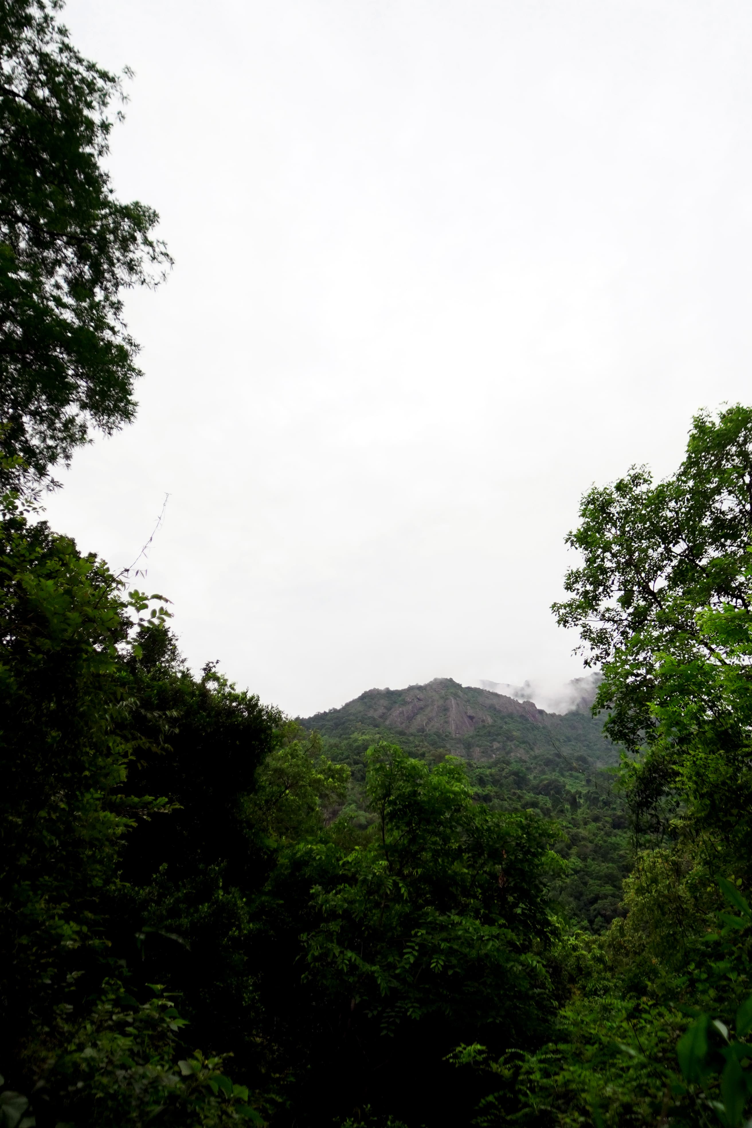 Baraliyar Trek – Coimbatore