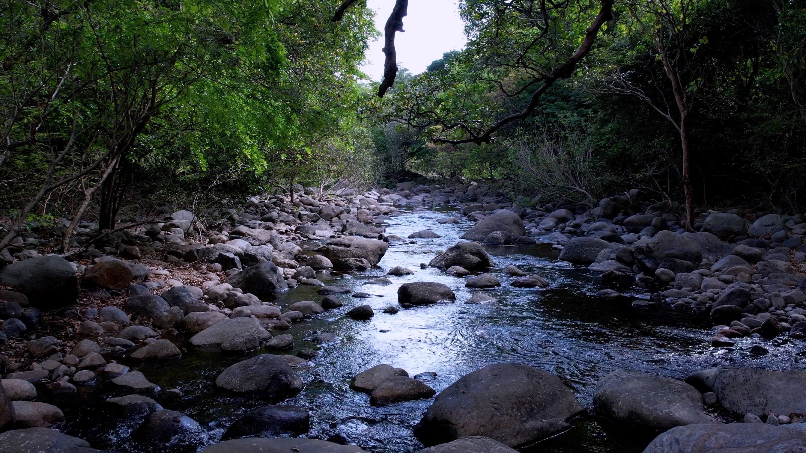 Theerthaparai Trek