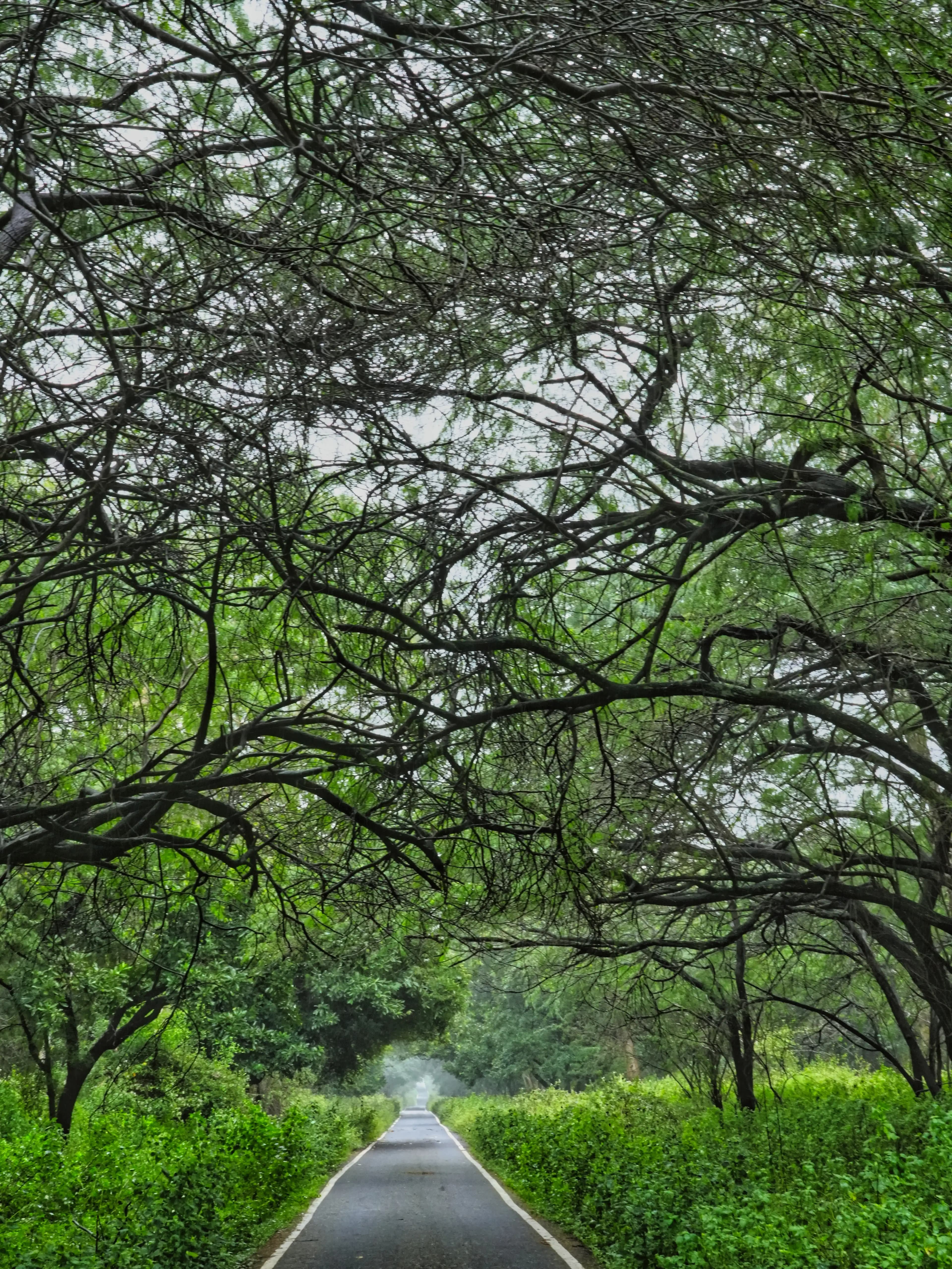 Aliyar (Canal Bank) Trek – Coimbatore