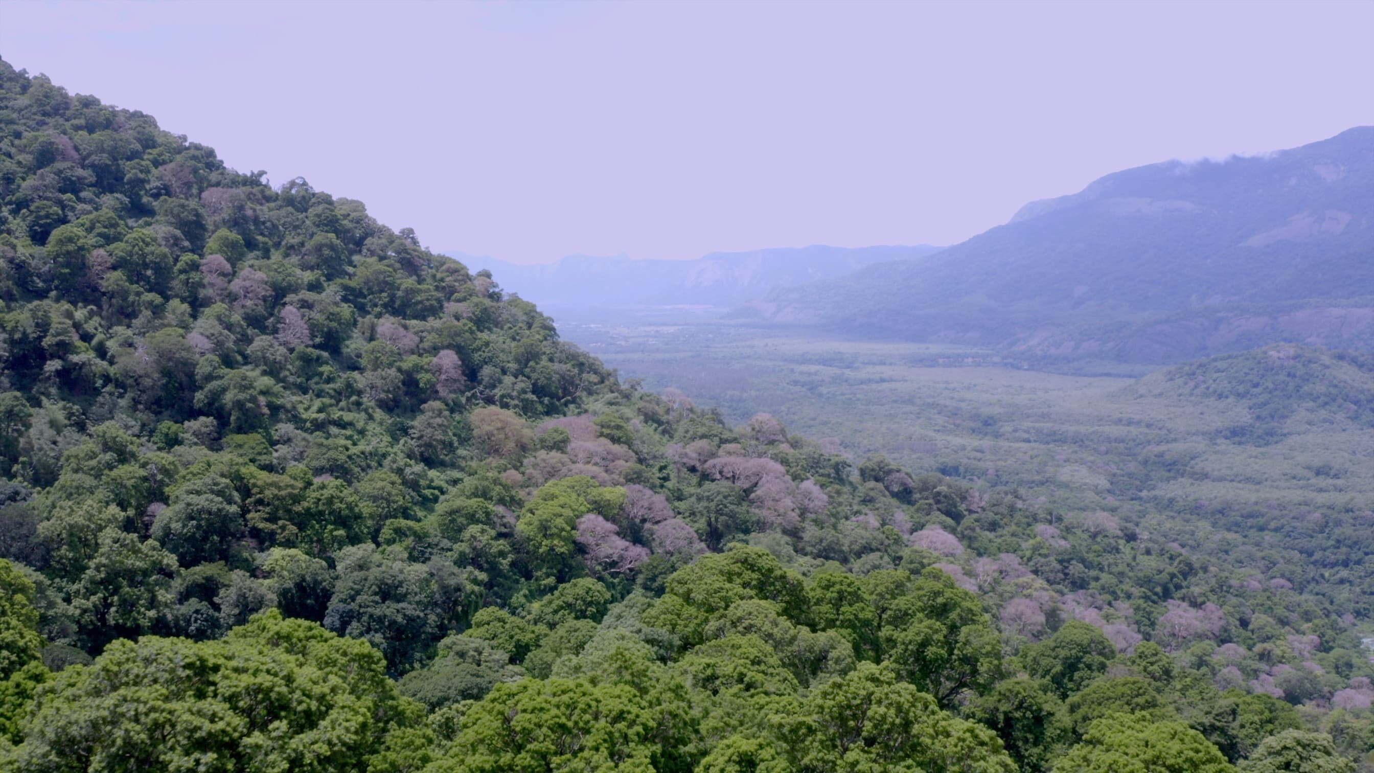 Sadivayal – Siruvani Trek