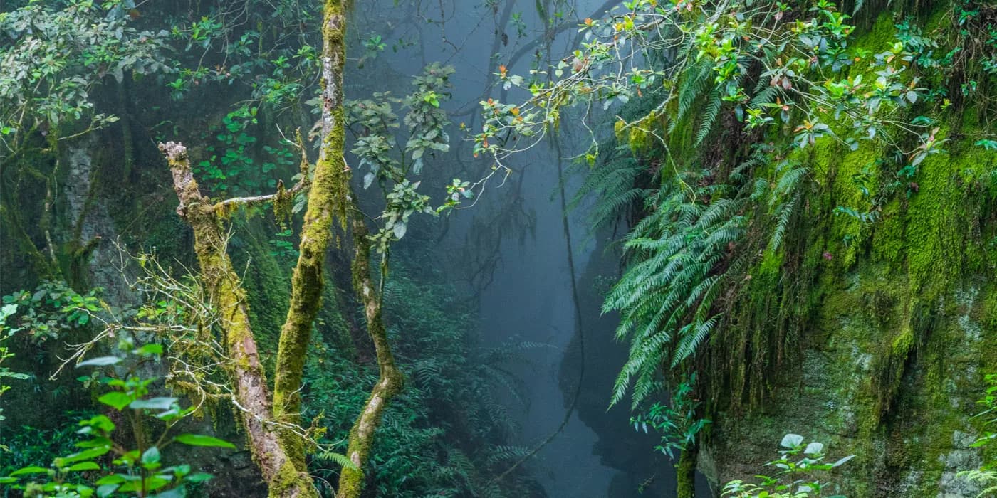 Guna Cave