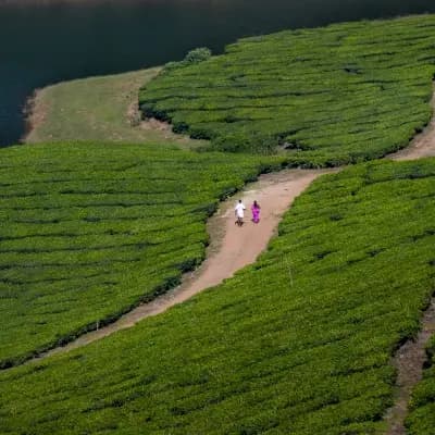 Meghamalai
