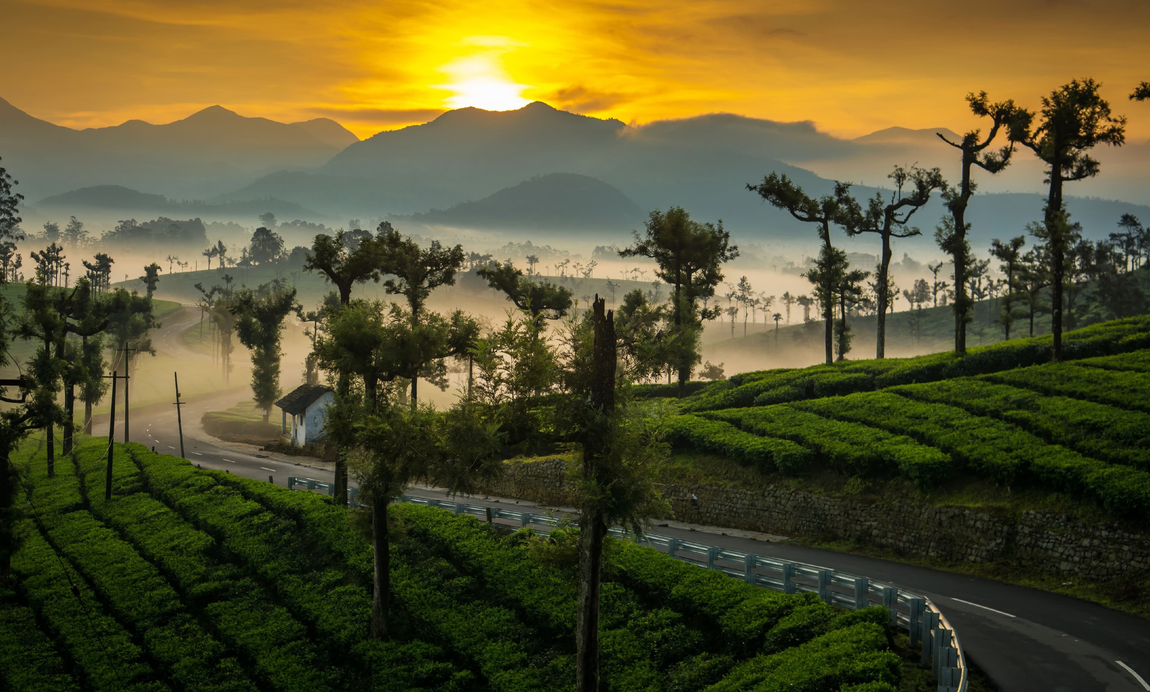 Valparai
