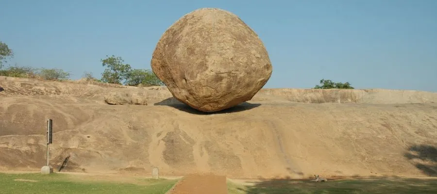 Butterball | Mahabalipuram