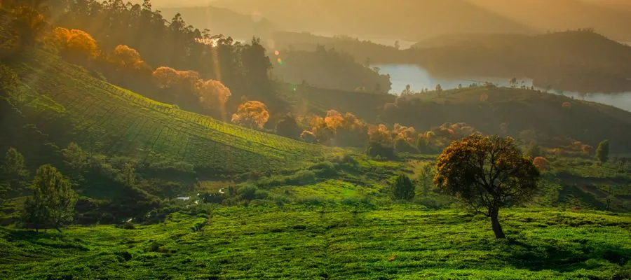 Ooty- Tours and Travels | Tamil Nadu Tourism