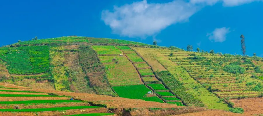 Ooty Tourism | Tamil Nadu Tourism