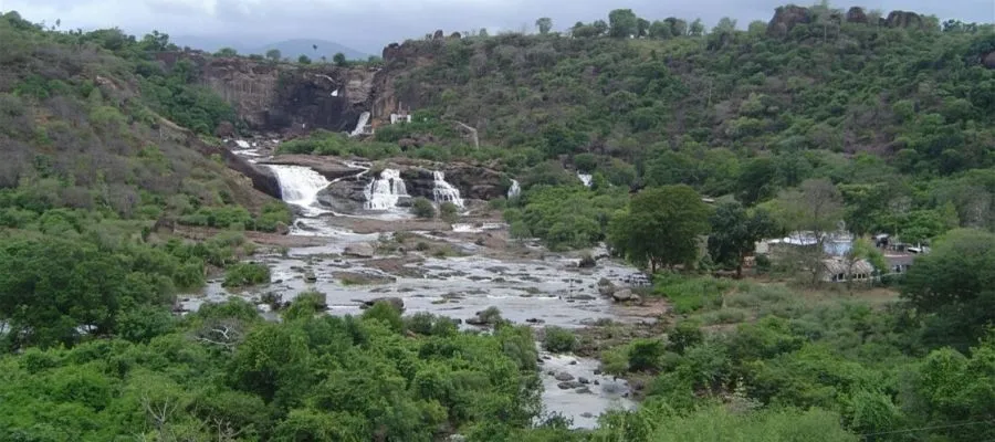 Agasthiyar Watel falls ,Papanasam