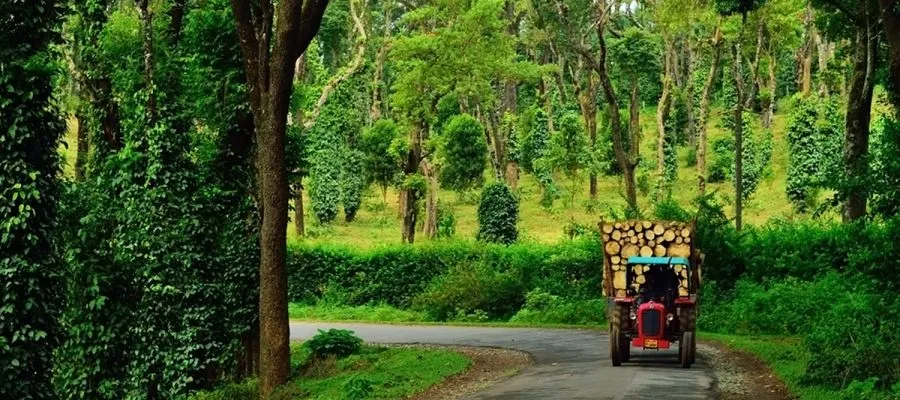 Coorg Tourism | Tamil Nadu Tourism