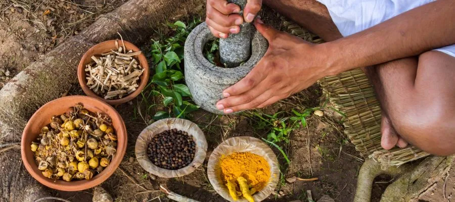 Indian Spices | Tamil Nadu Tourism