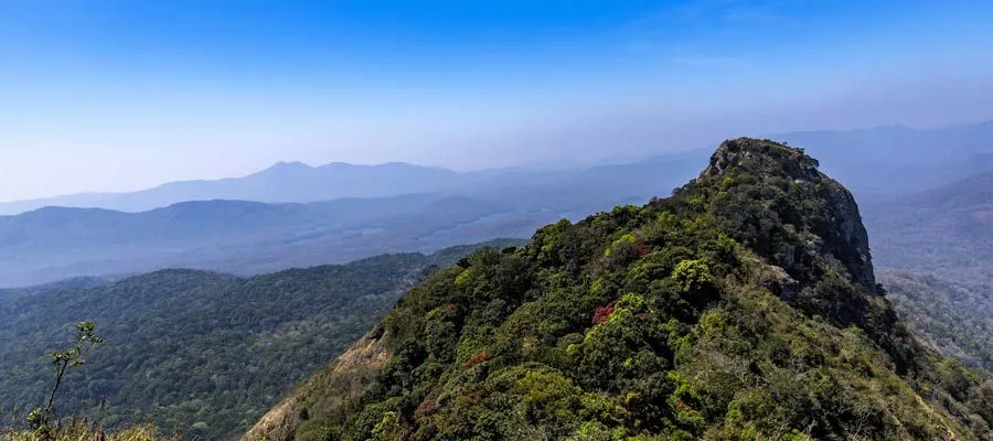 Top Slip Pandaravarai Trek Tamil Nadu Tourism