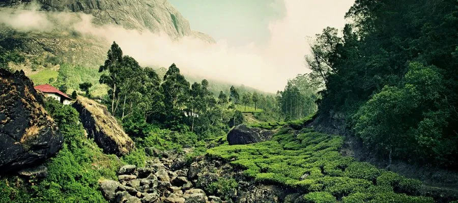 Peermade,munnar Tour | Tamil Nadu Tourism