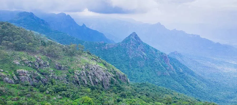 Karikayur Rangasamy Peak | Trek Tamilnadu Tourism