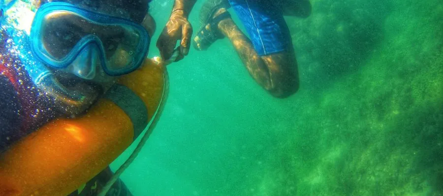 Snorkeling Activities in Rameshwaram | Tamil Nadu Tourism