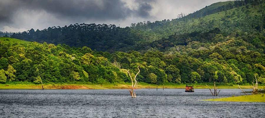 Thekkady Tourism | Tamil Nadu Tourism