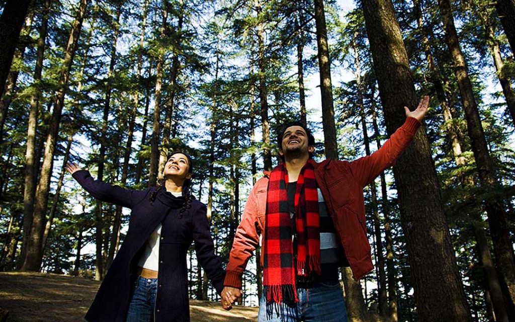 romantic couples in enjoying their holidays in Kodaikanal pine forest