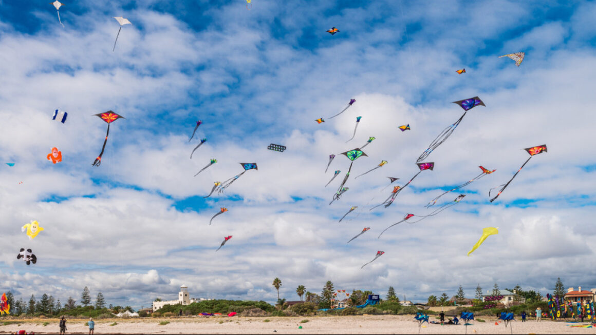 Tamil Nadu International Kite Festival