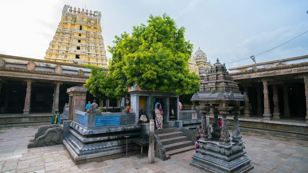 Marriage hall and Mango tree in Ekambareswarar Temple at Kanchipuram in the state of Tamil Nadu.