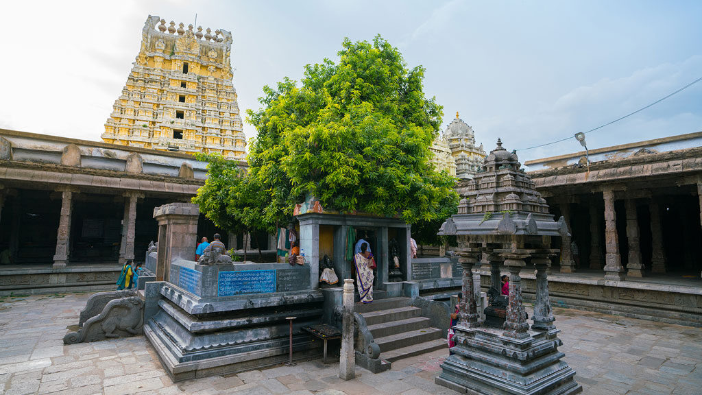 Ekambareswarar Temple in Kanchipuram