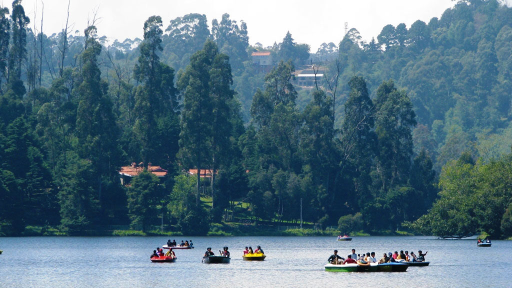 A spectacular view of tourists enjoying pedal boat riding in the lake of Kodaikanal.