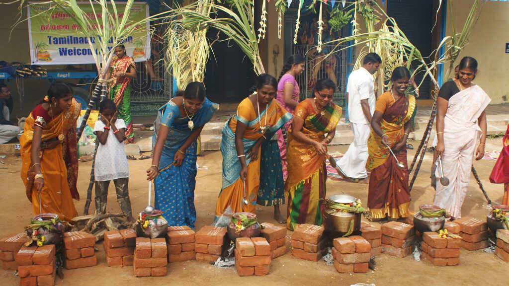 People celebrating Pongal festival in Tamilnadu.