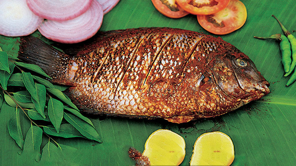 Fish food in Dhanushkodi