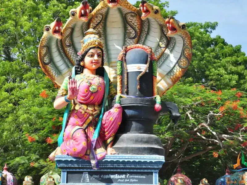 Pettai Amman Temple - Mettupalayam
