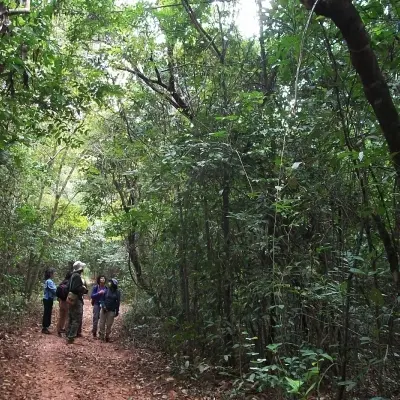 Longwood Shola Reserve Forest