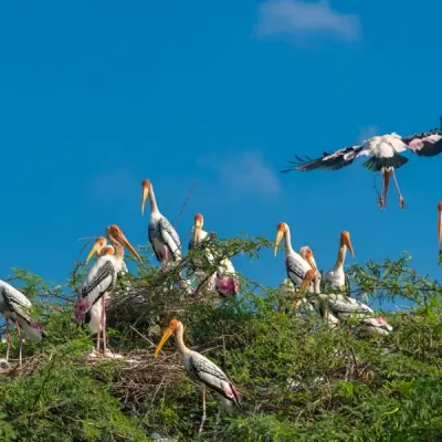 Nellai Wildlife Sanctuary