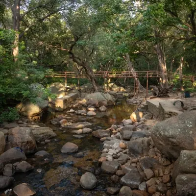 Parambikkulam wildlife Sanctuary
