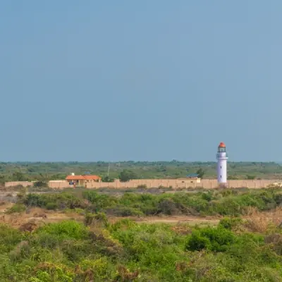 Point Calimere Wildlife Sanctuary