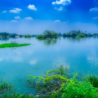 Vellode Bird Sanctuary
