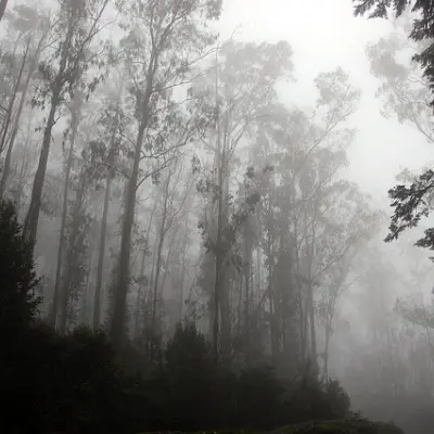 Doddabetta Peak tourist places