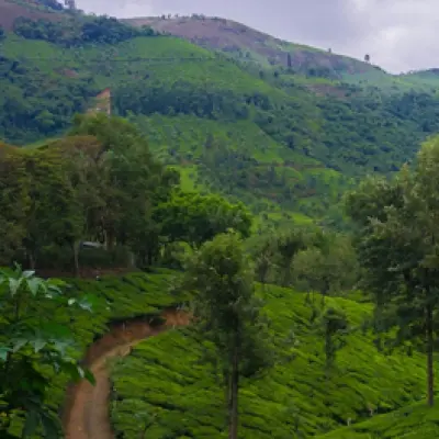 nlgiri-hills