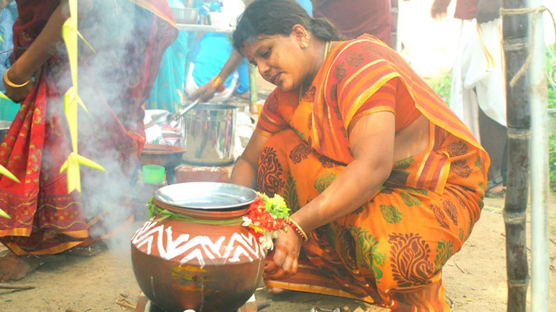 Festival of Tamilnadu