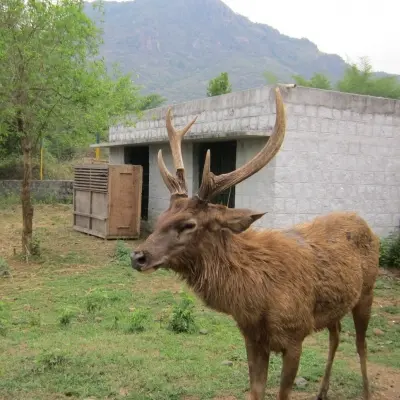 Kurumbapatti Zoological Park